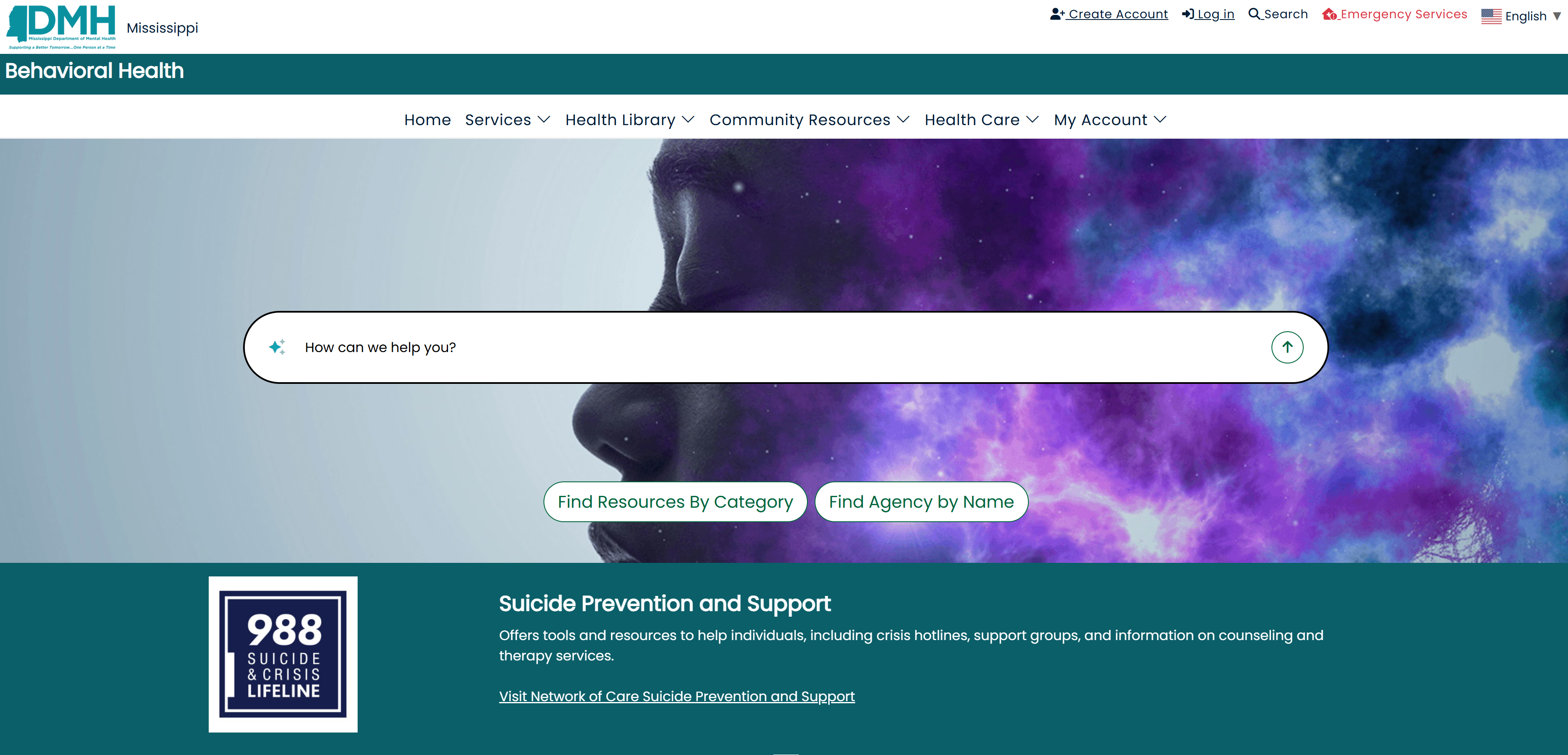 A screenshot of the Network of Care site www.mississippicares.ai.
